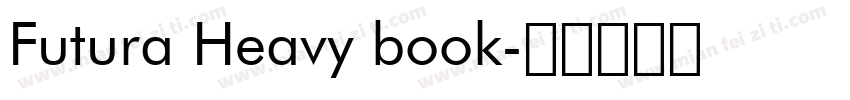 Futura Heavy book字体转换